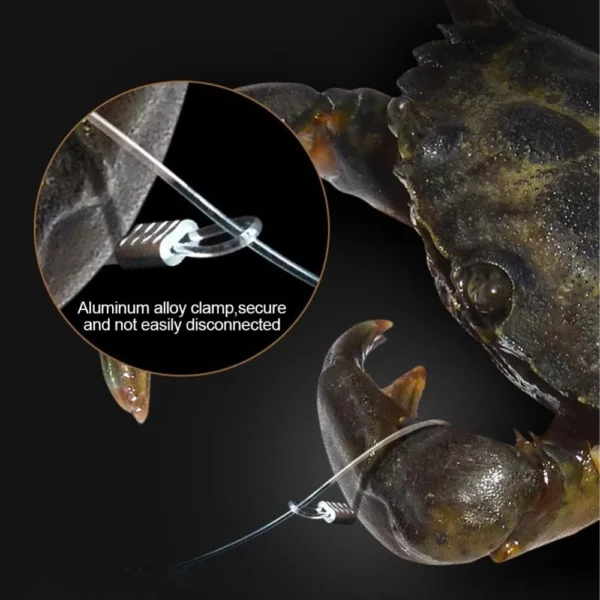 sg-11134201-7rd3m-m7s0x2s0ouknd1.webp Stainless Steel Crab Bait Cage